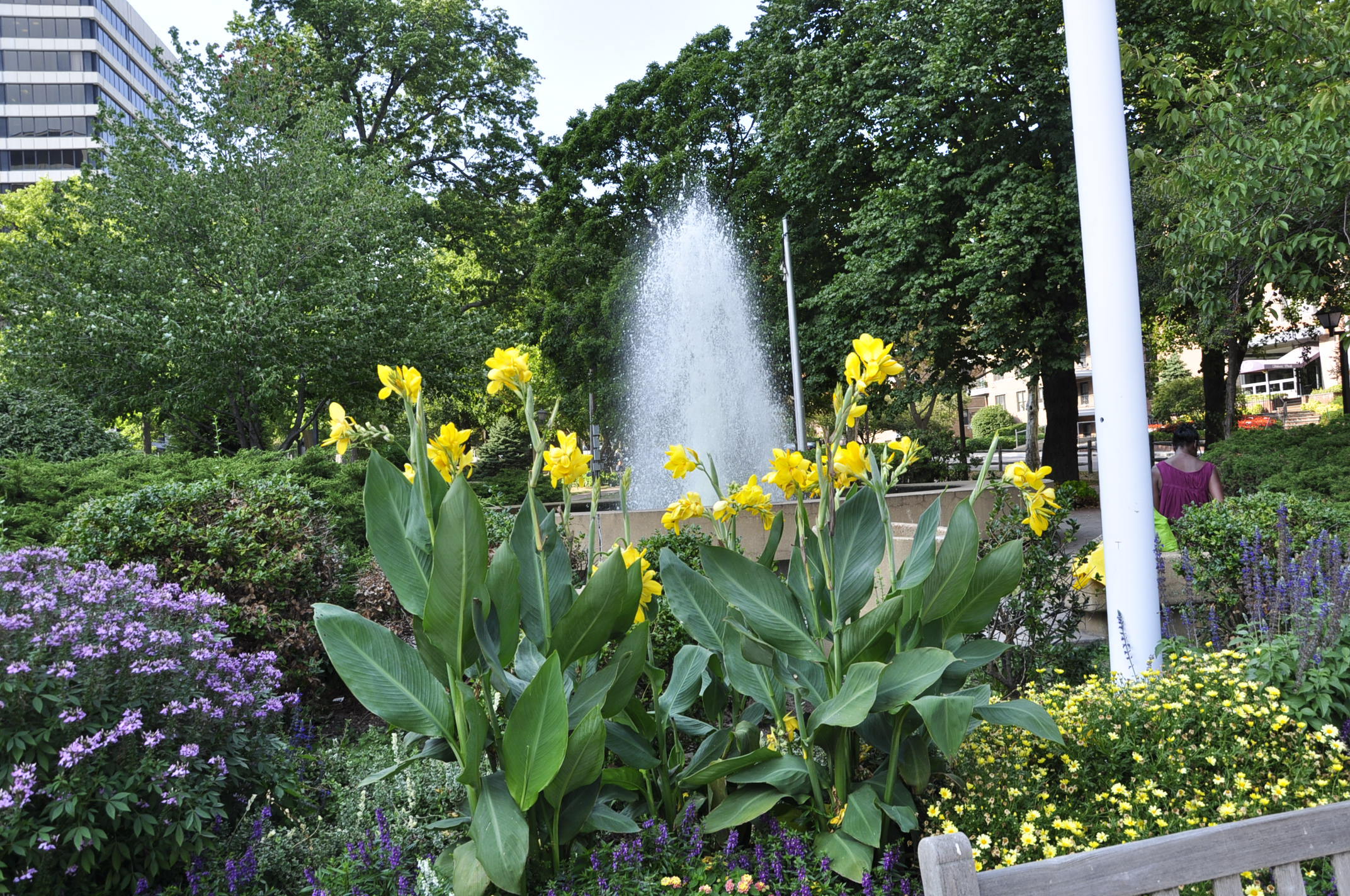 tibbits fountain and flowers, 053